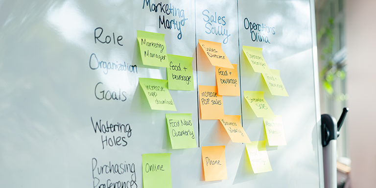 Image of a collection of ideas for a buyer persona